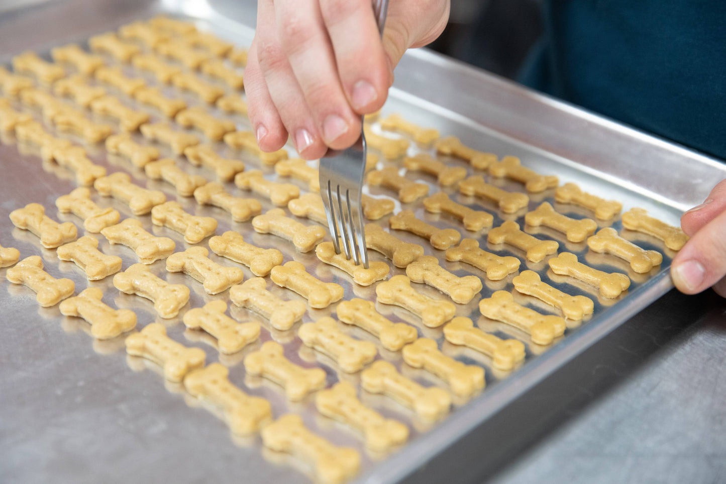 Grain Free Dog Treats