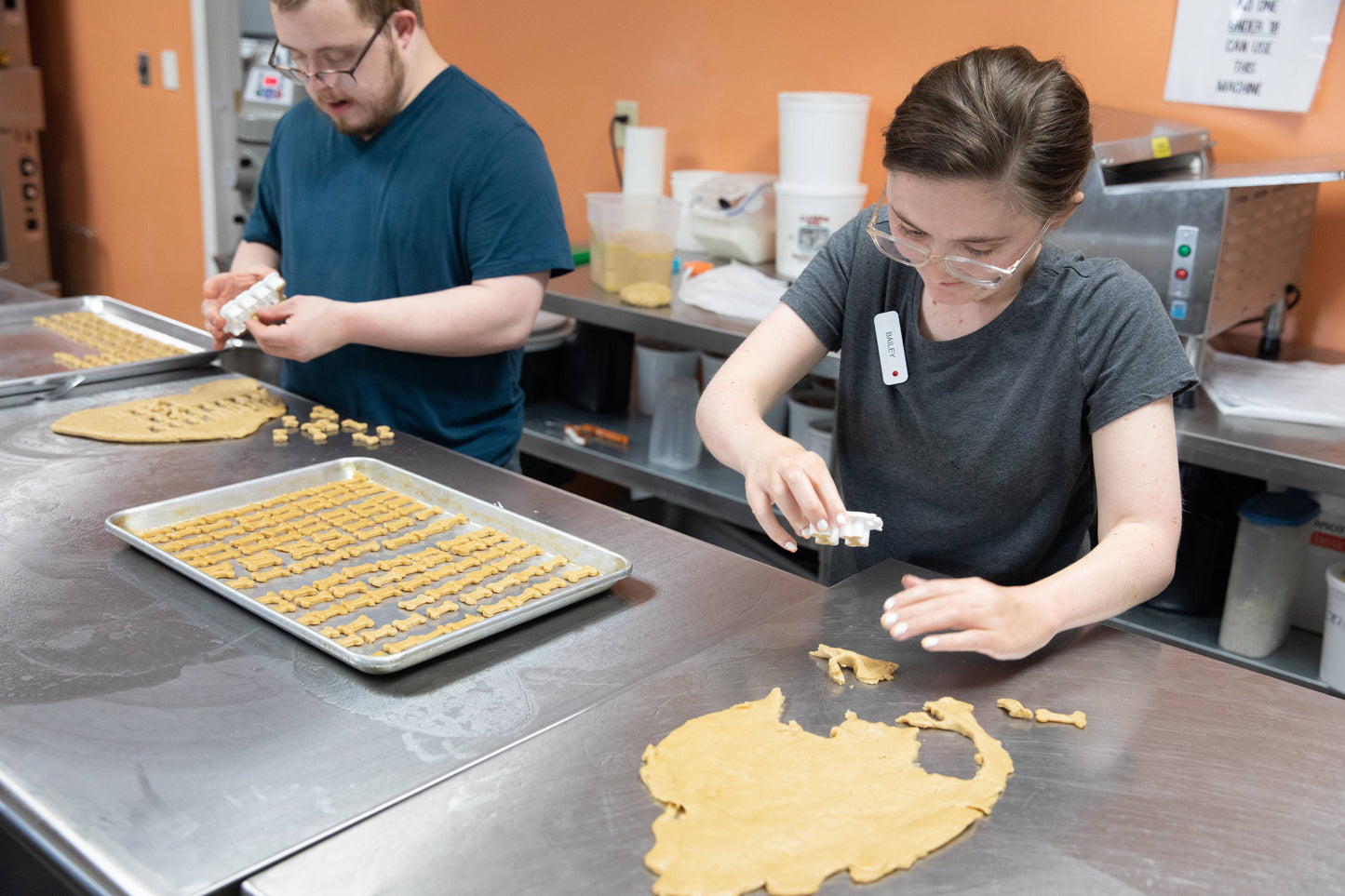 Grain Free Dog Treats