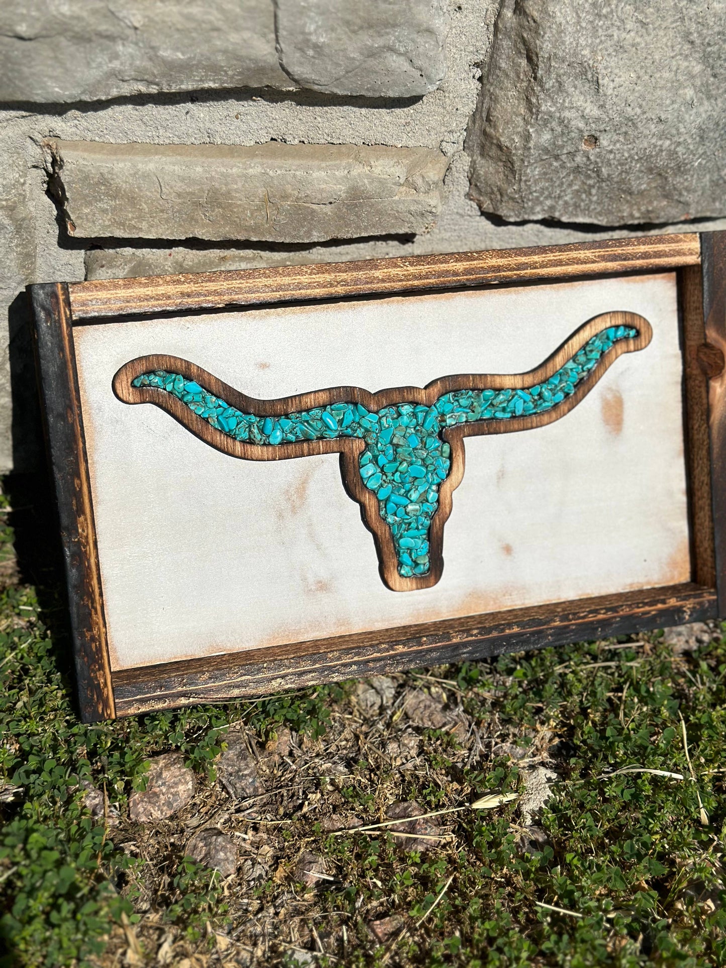 Longhorn Decor